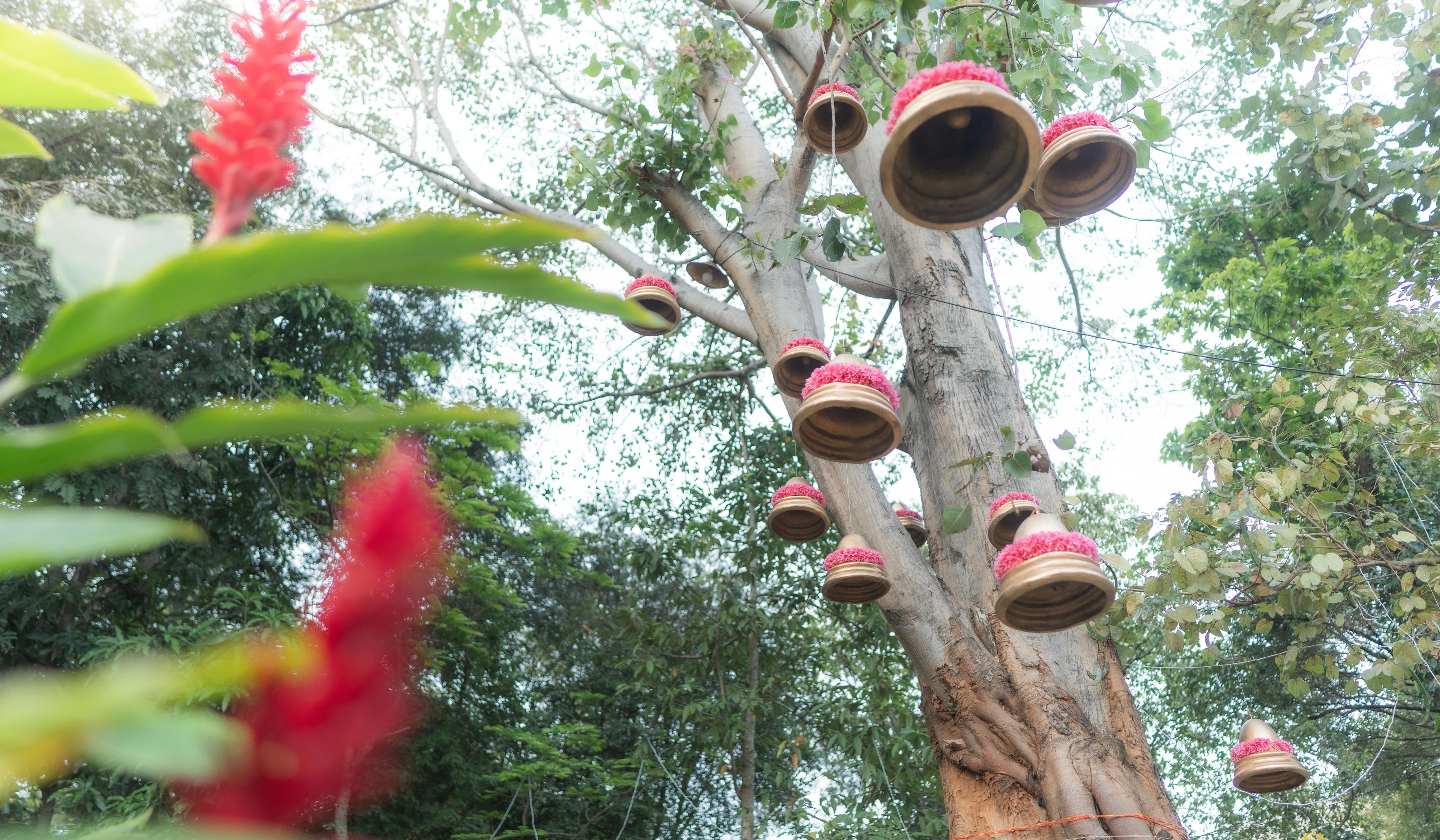 WhatsApp Image 2025-03-27 at 2.07.32 PM (3).jpeg